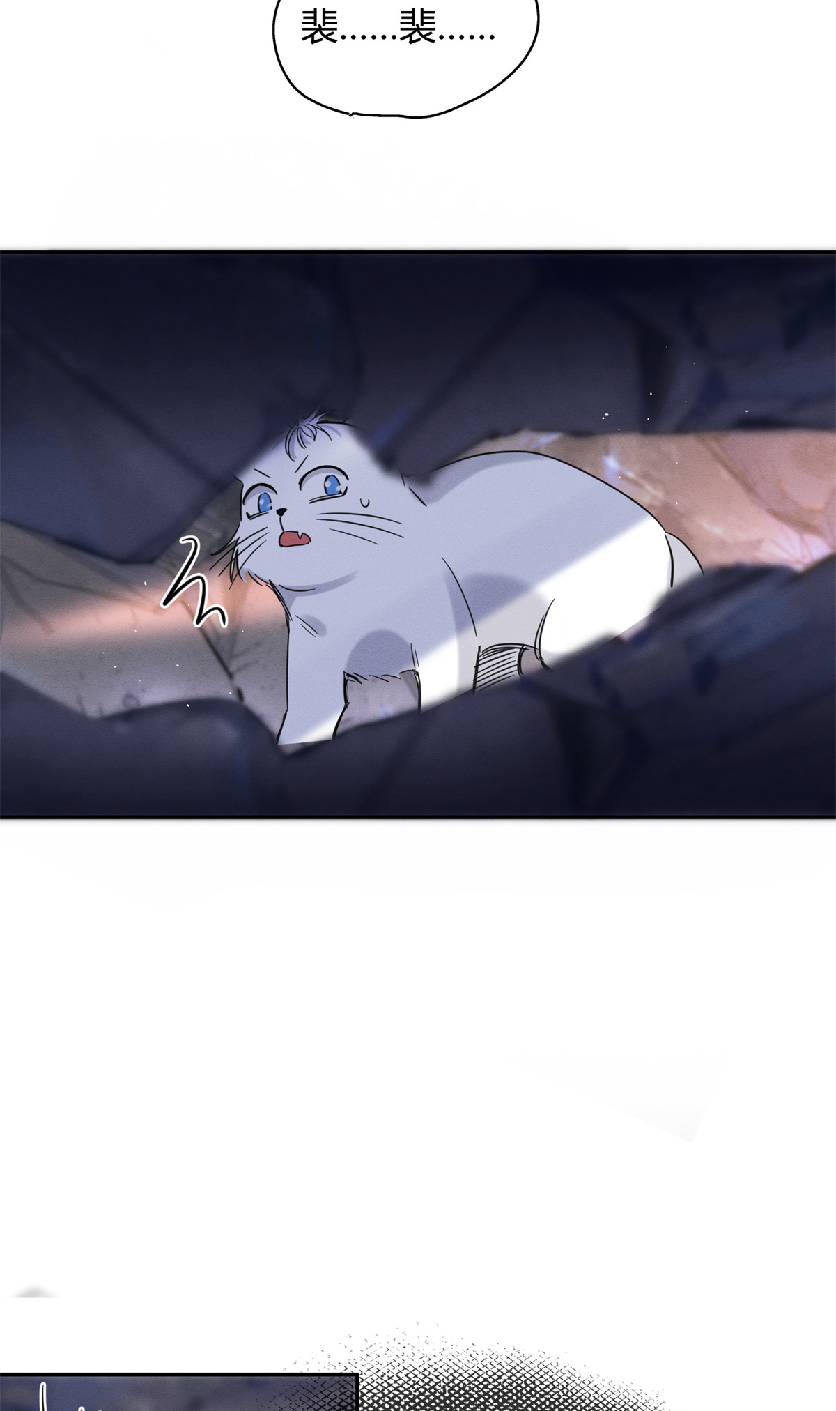 今天也要努力当只猫53 裴臻你变话来了？！