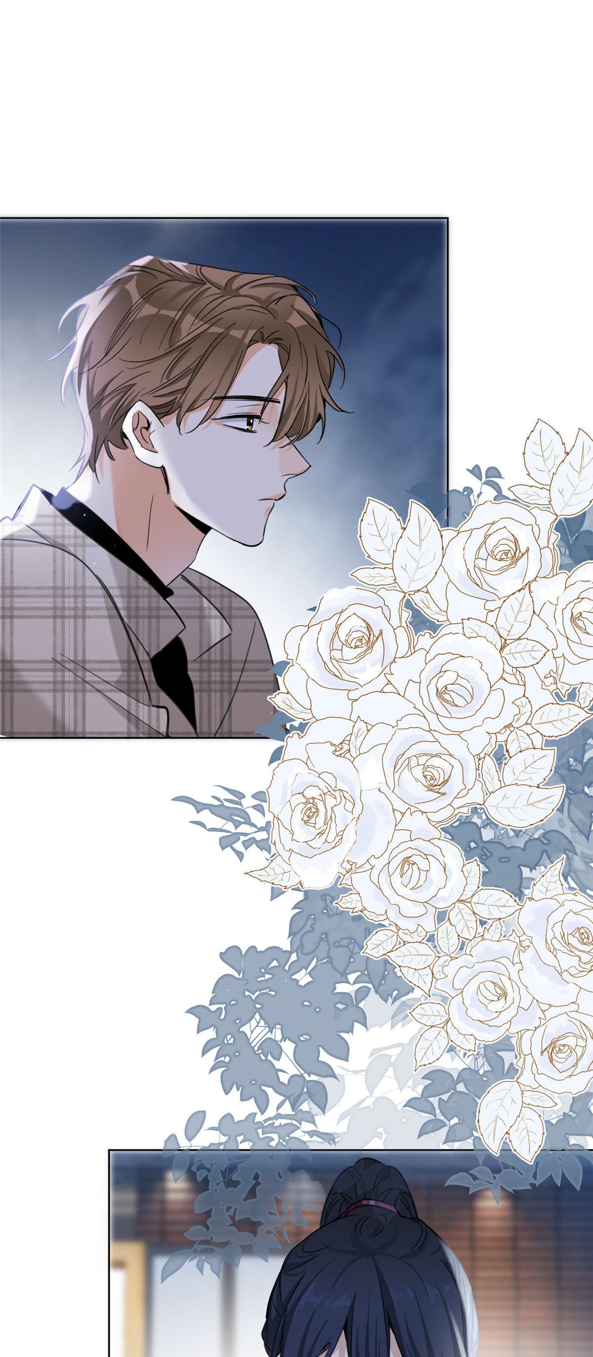 今天也要努力当只猫63 裴裴捉（？）现场