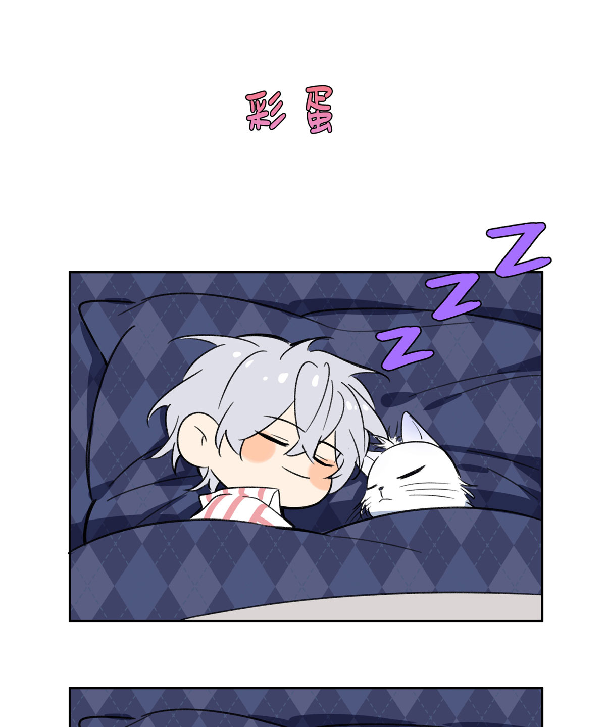 今天也要努力当只猫65 不是朋友哦