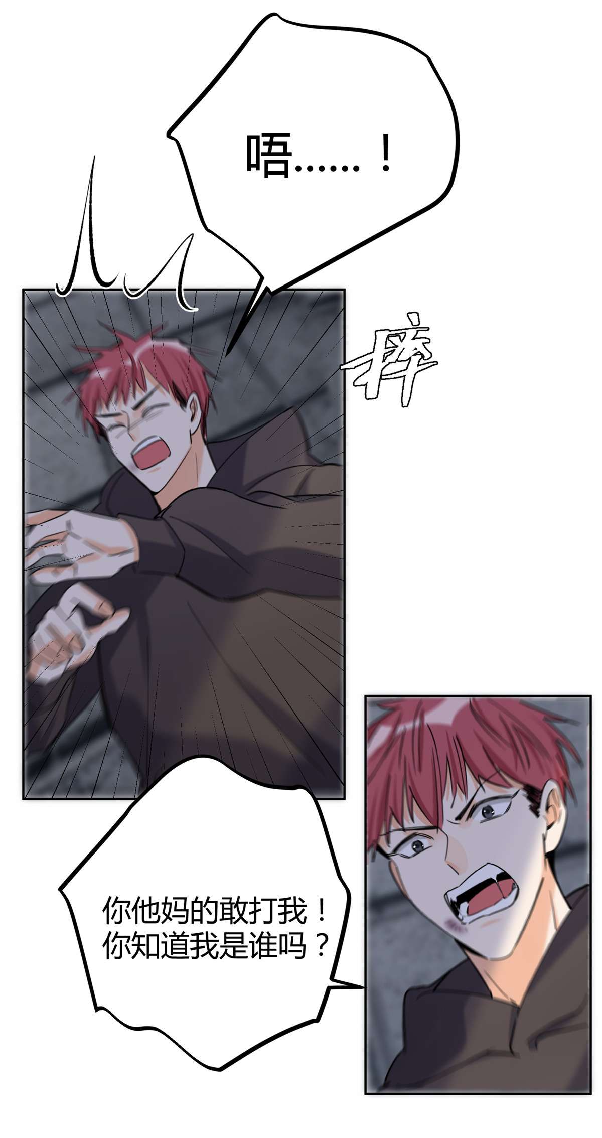 今天也要努力当只猫67 被偷拍