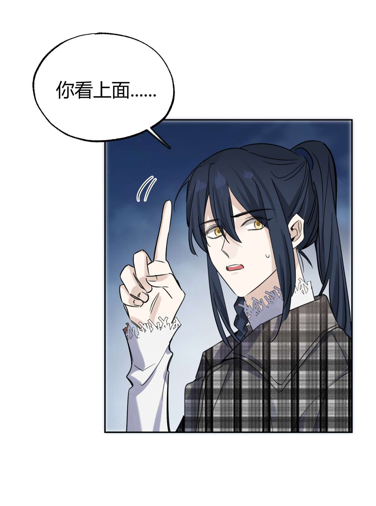 今天也要努力当只猫68 不拍了！