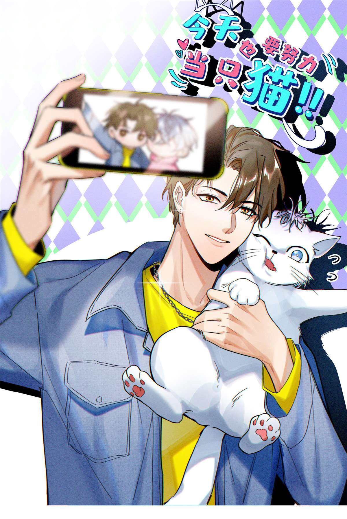 今天也要努力当只猫80 官宣！