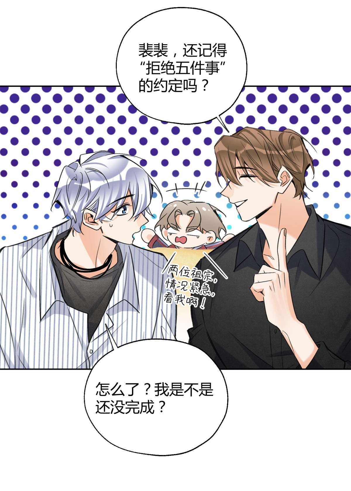 今天也要努力当只猫80 官宣！