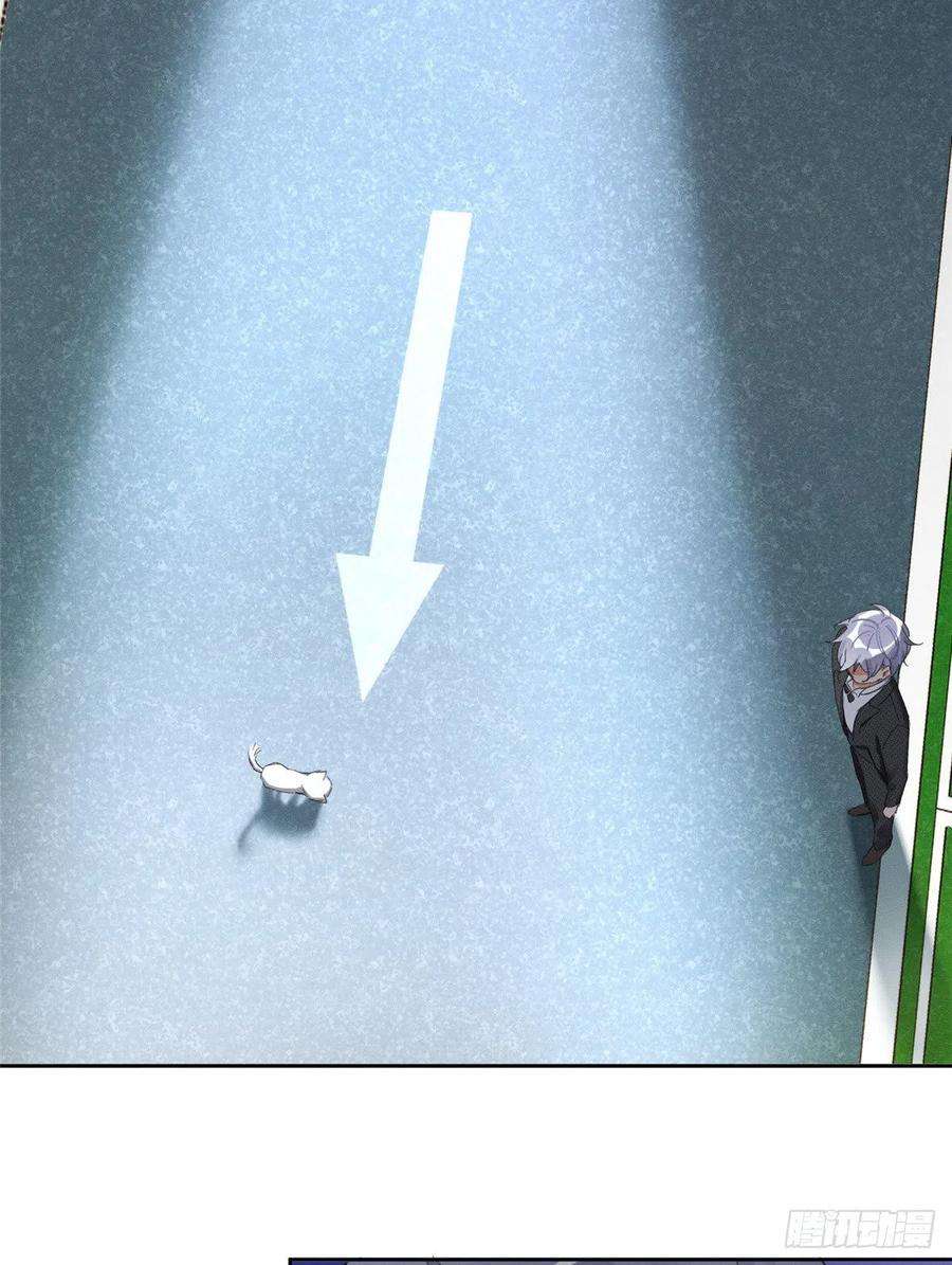 今天也要努力当只猫1话 我变成猫了！