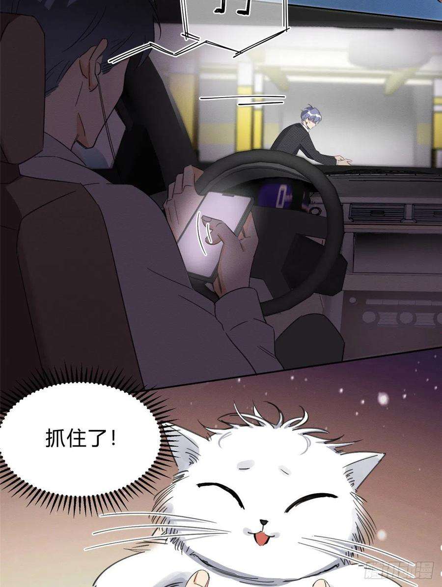 今天也要努力当只猫1话 我变成猫了！