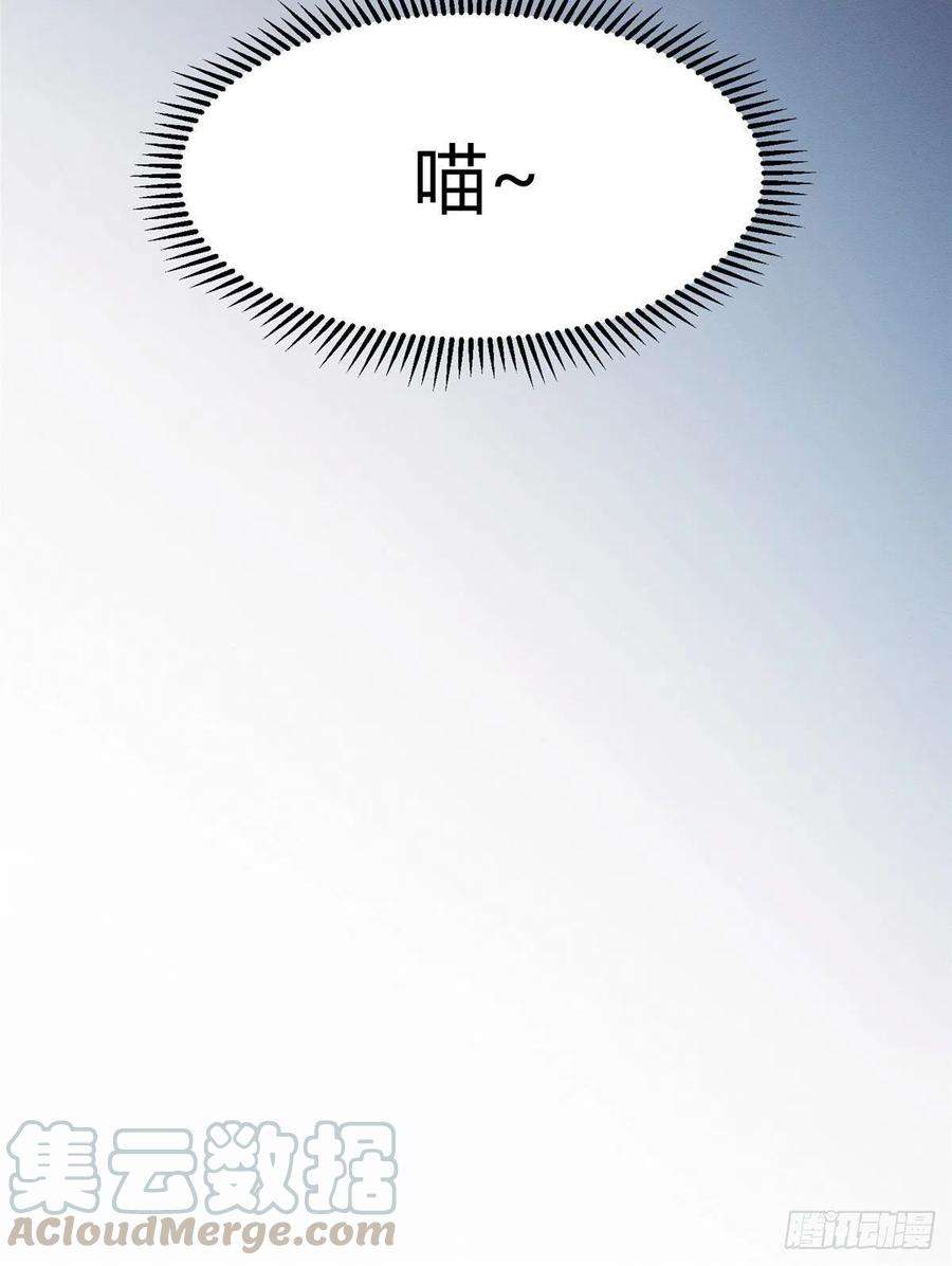 今天也要努力当只猫1话 我变成猫了！