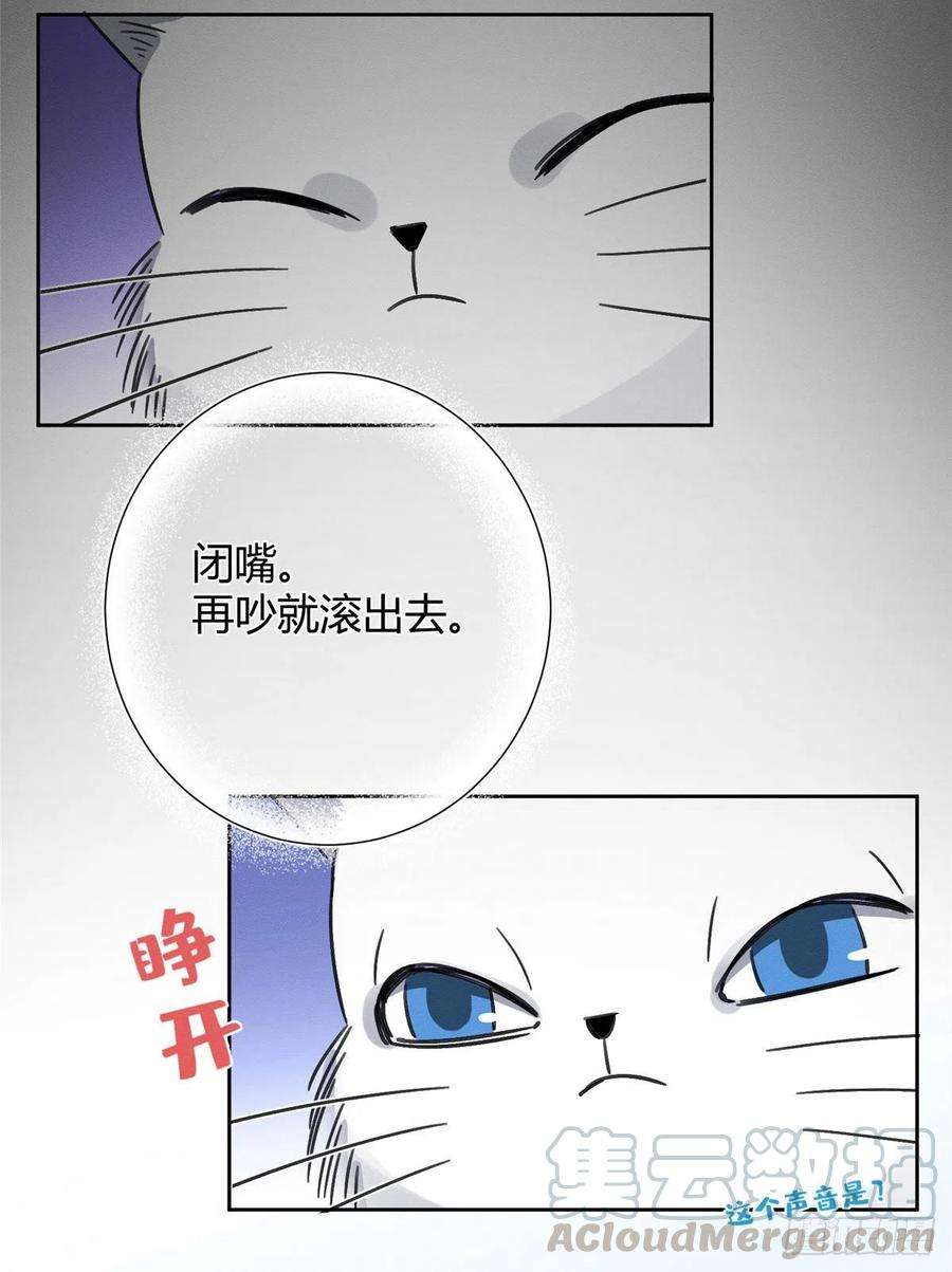 今天也要努力当只猫1话 我变成猫了！