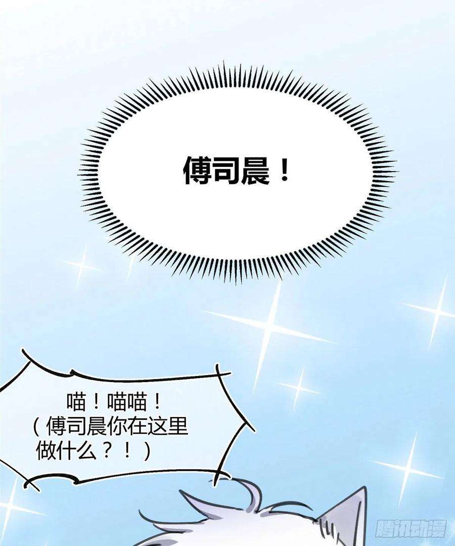 今天也要努力当只猫1话 我变成猫了！