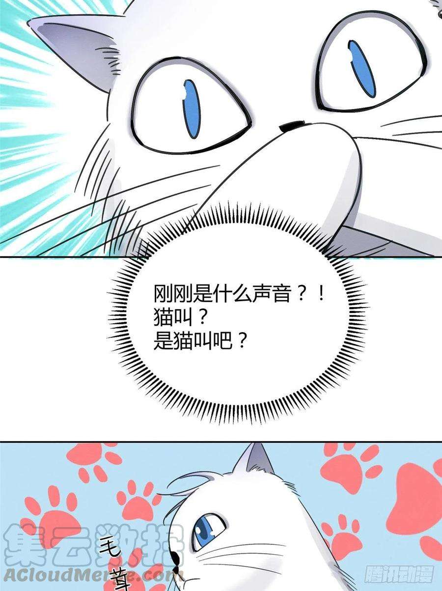 今天也要努力当只猫1话 我变成猫了！