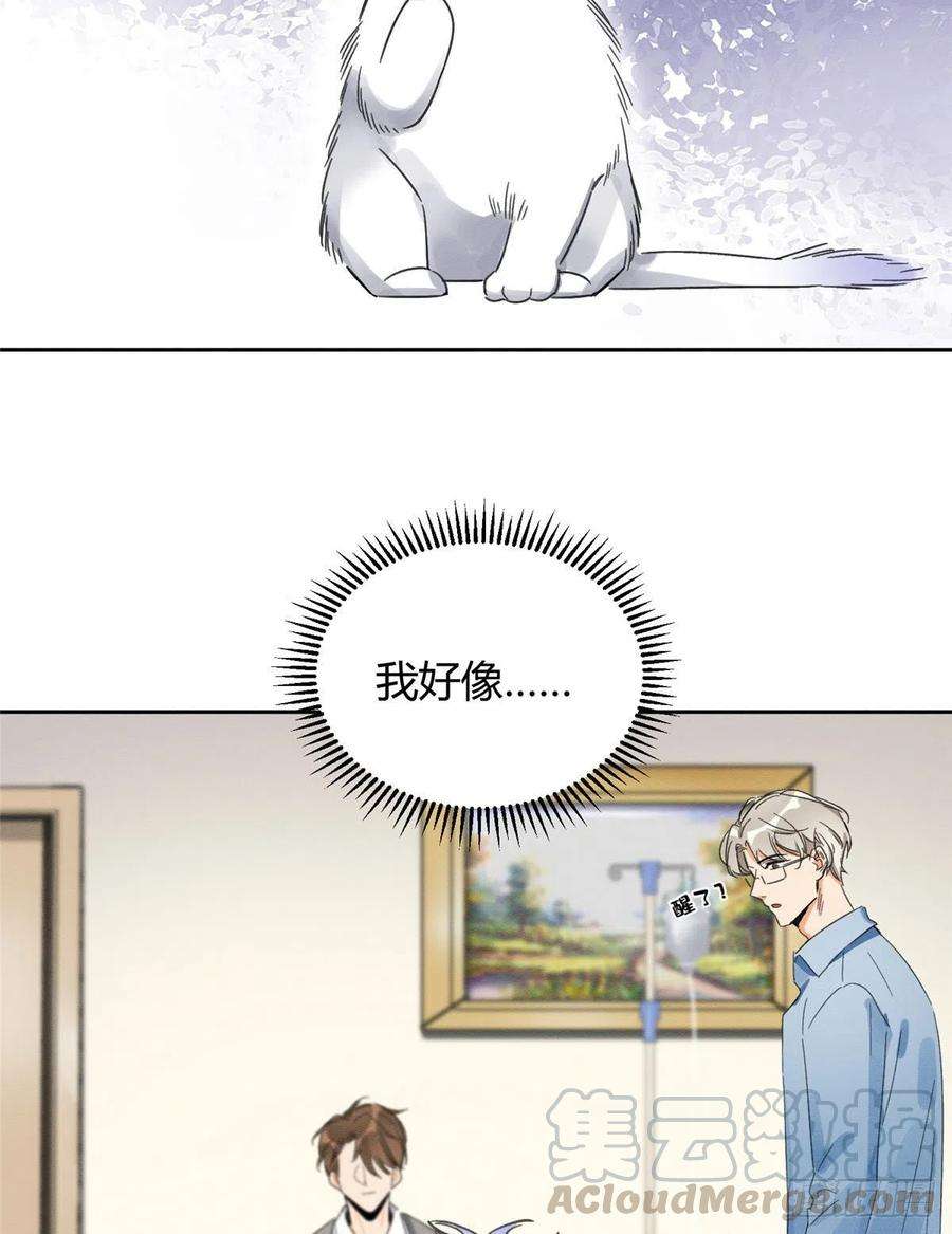 今天也要努力当只猫1话 我变成猫了！