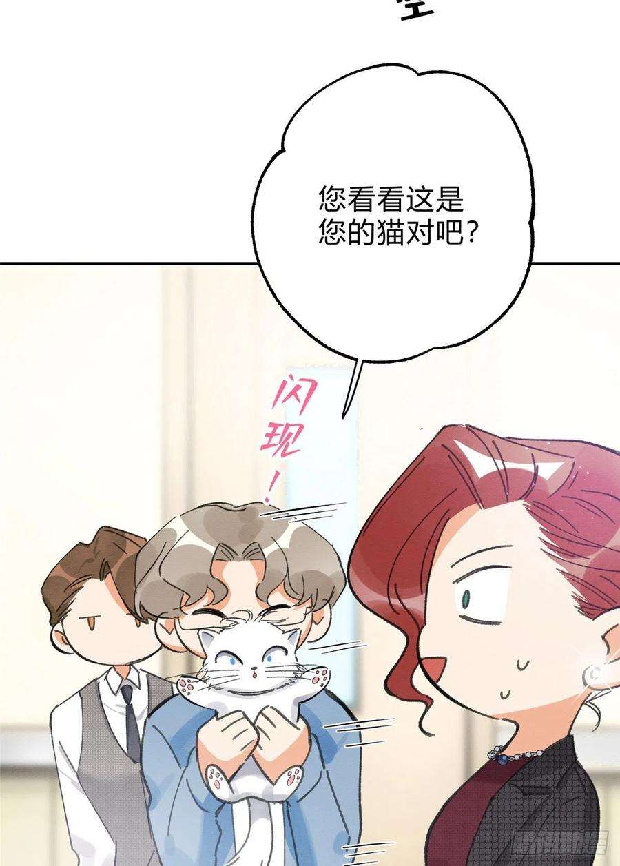 今天也要努力当只猫2话 我来照顾他吧！