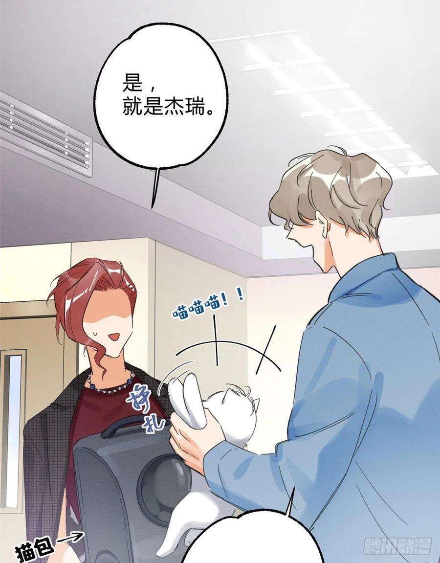 今天也要努力当只猫2话 我来照顾他吧！