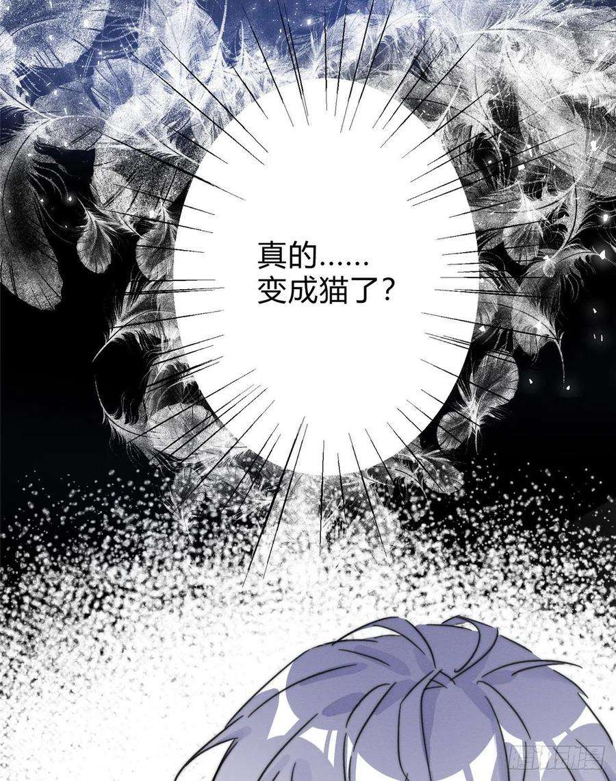 今天也要努力当只猫2话 我来照顾他吧！