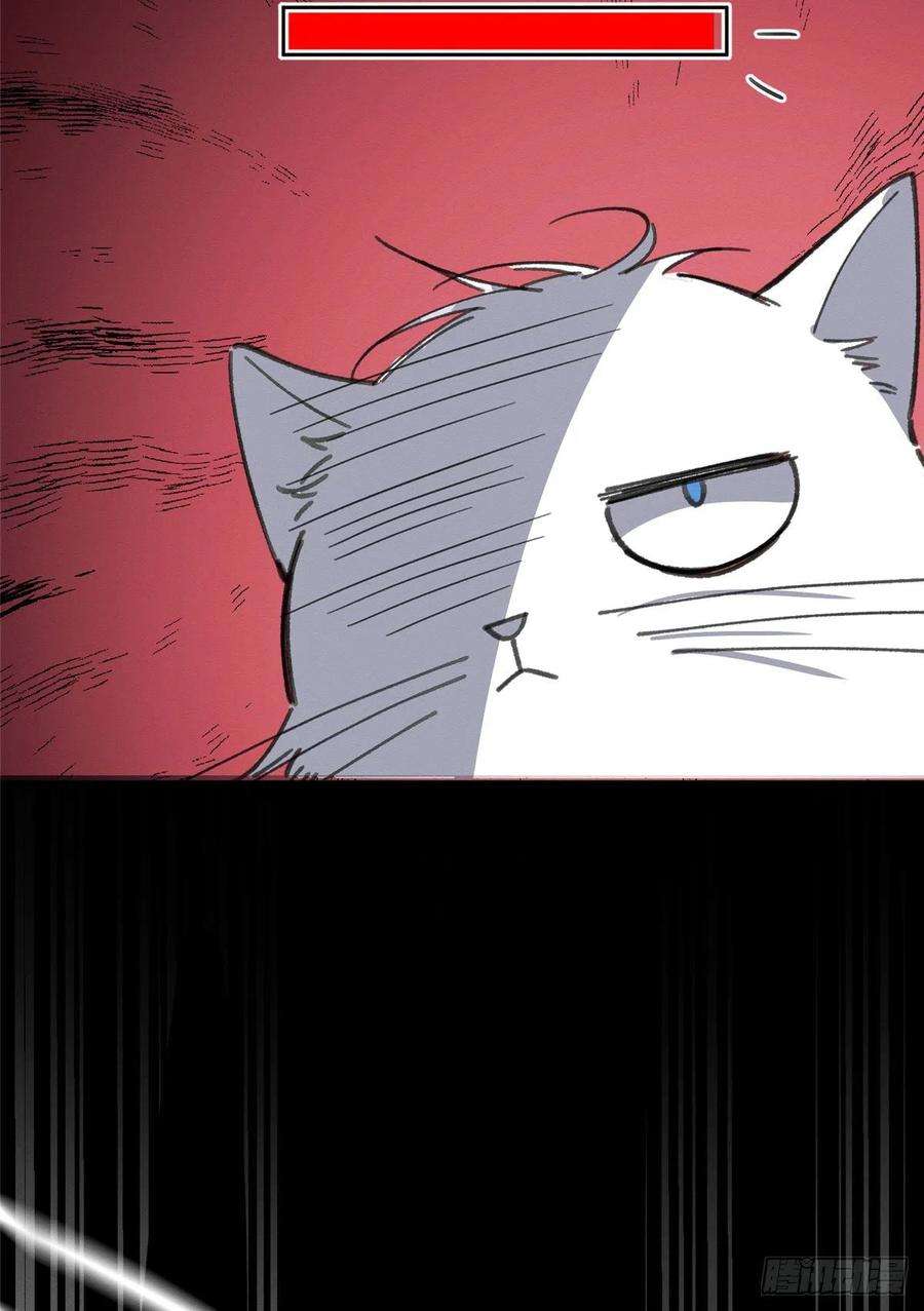 今天也要努力当只猫2话 我来照顾他吧！