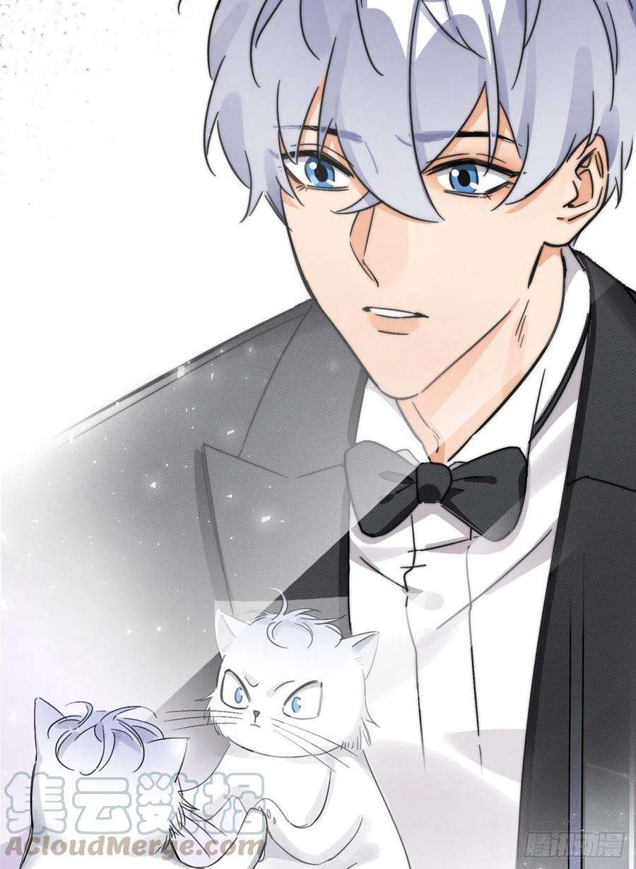 今天也要努力当只猫2话 我来照顾他吧！