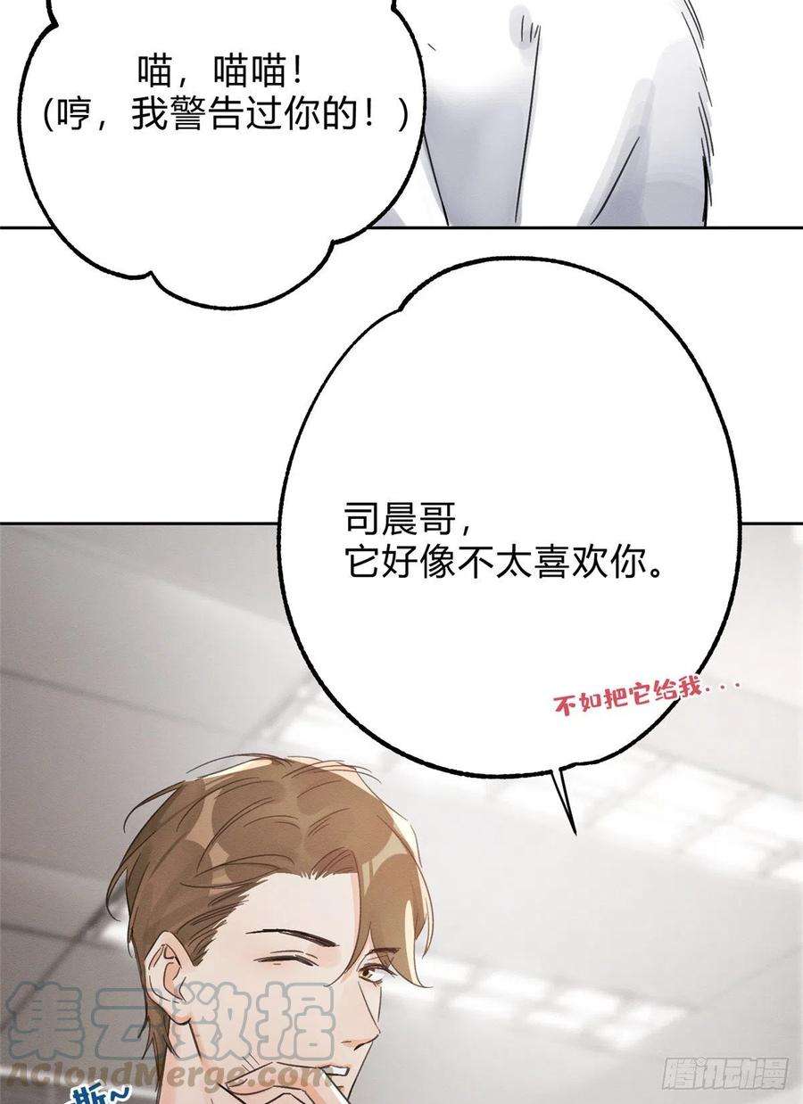 今天也要努力当只猫2话 我来照顾他吧！