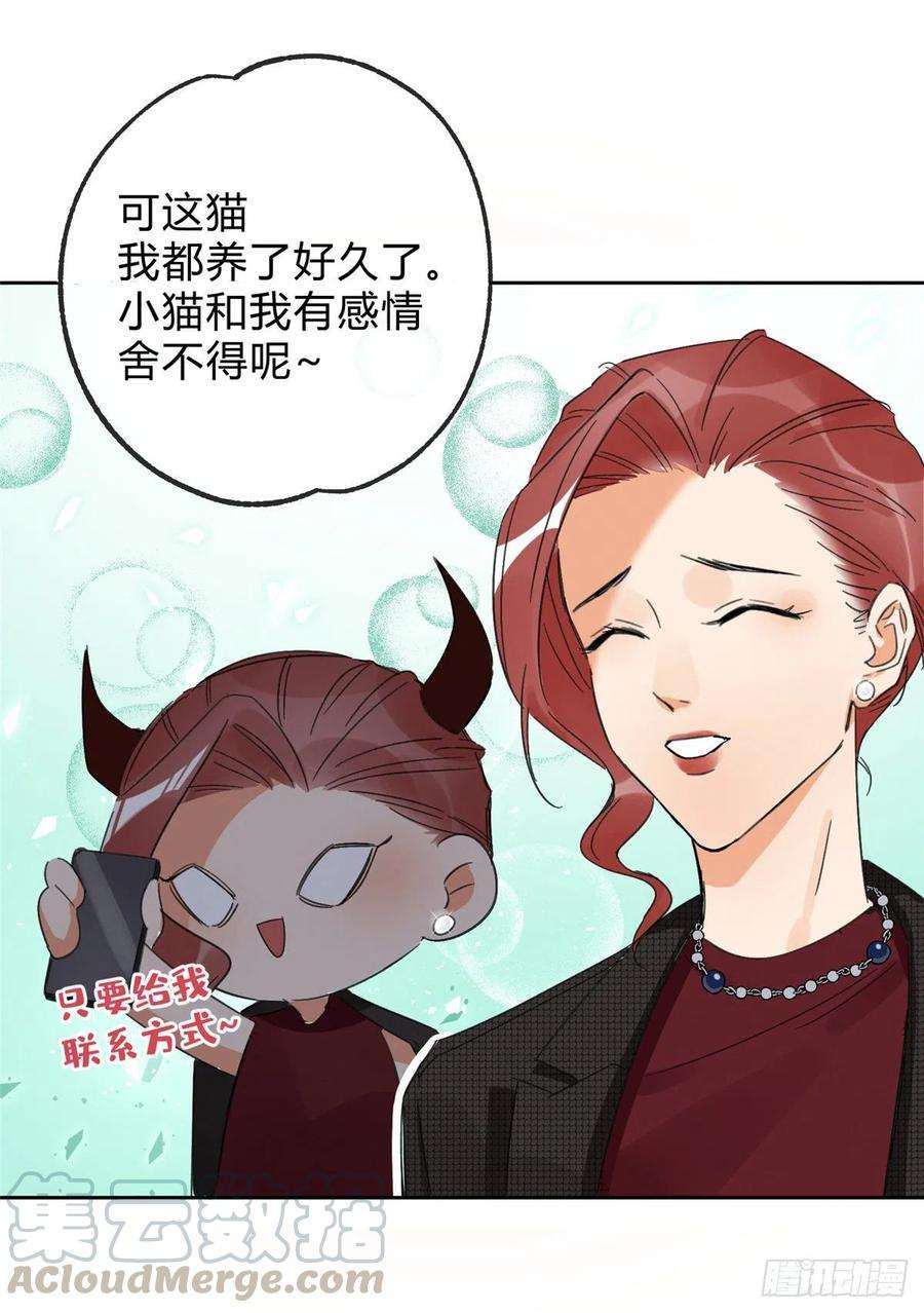 今天也要努力当只猫2话 我来照顾他吧！