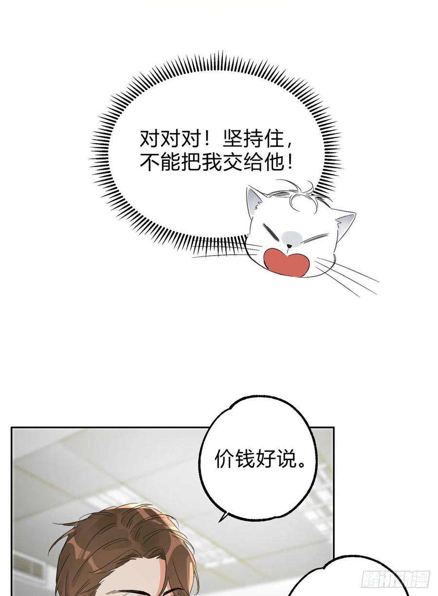 今天也要努力当只猫2话 我来照顾他吧！