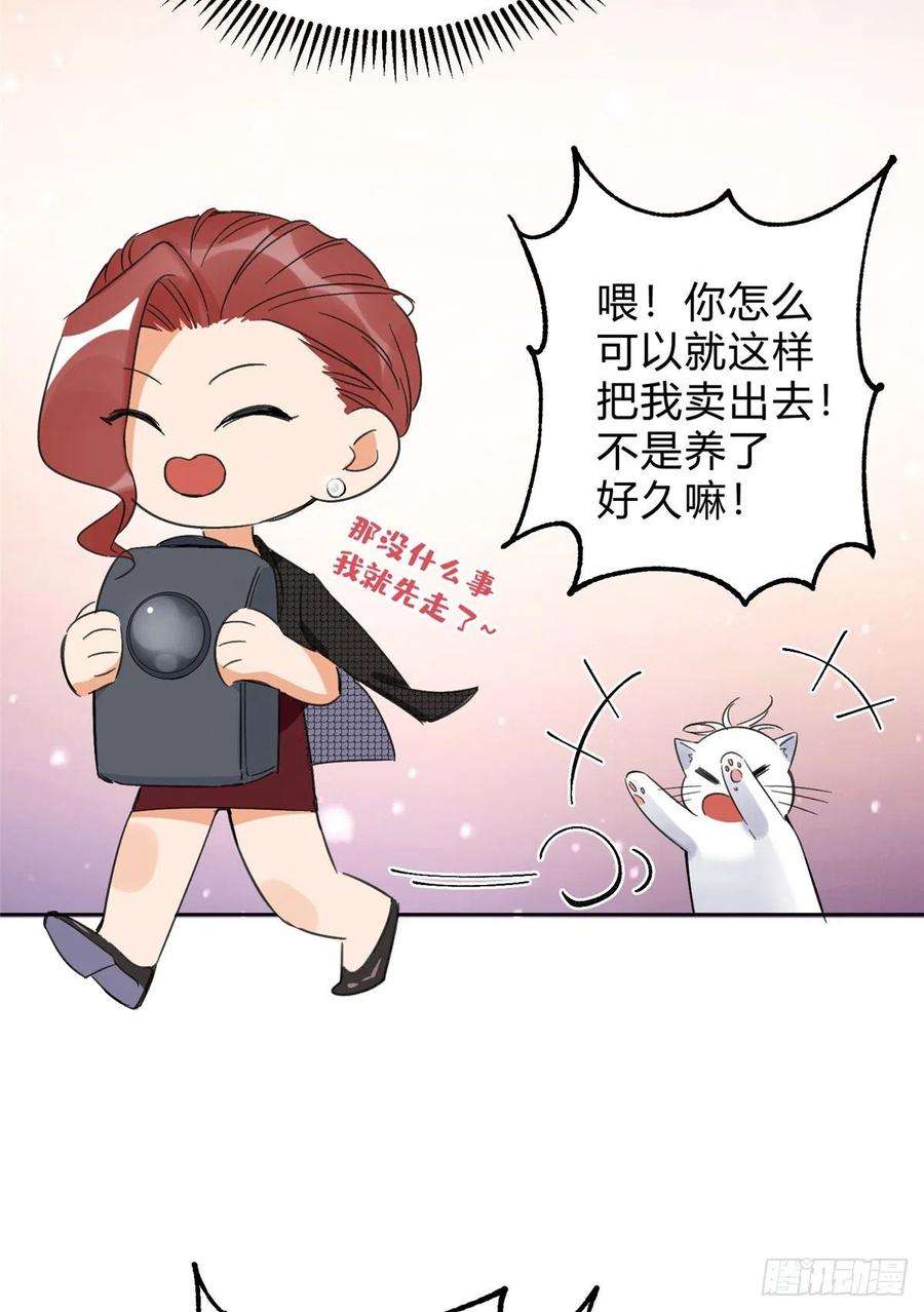 今天也要努力当只猫2话 我来照顾他吧！