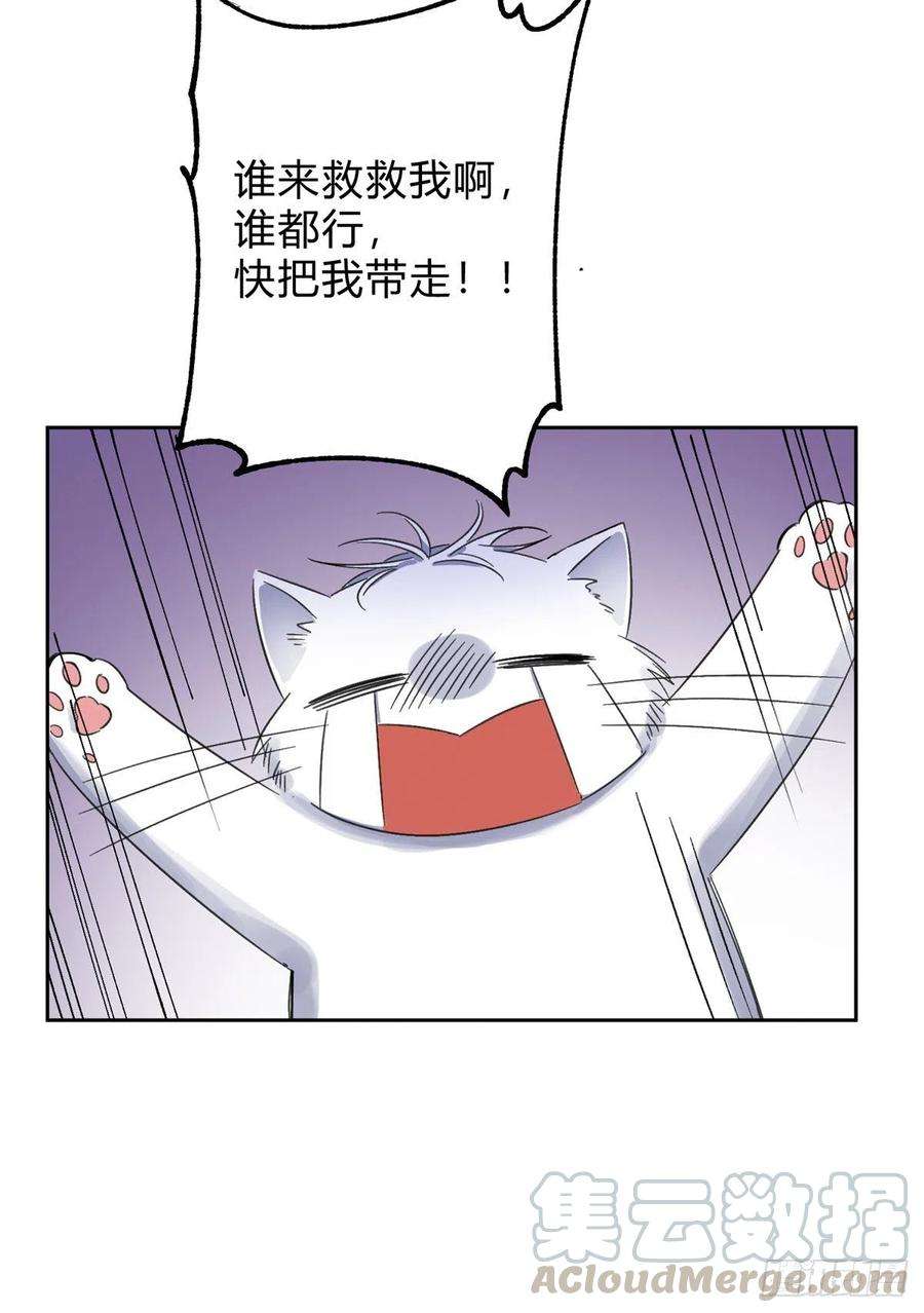 今天也要努力当只猫2话 我来照顾他吧！