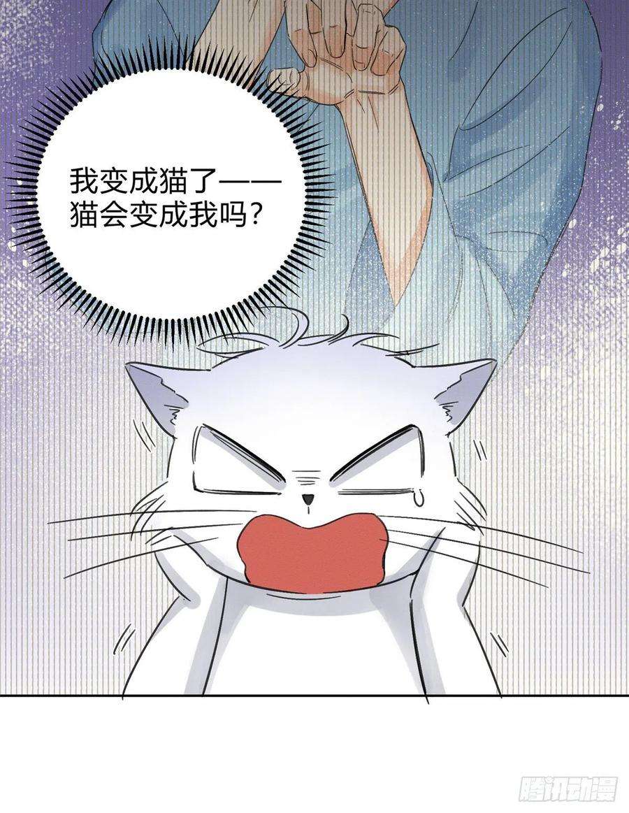 今天也要努力当只猫2话 我来照顾他吧！