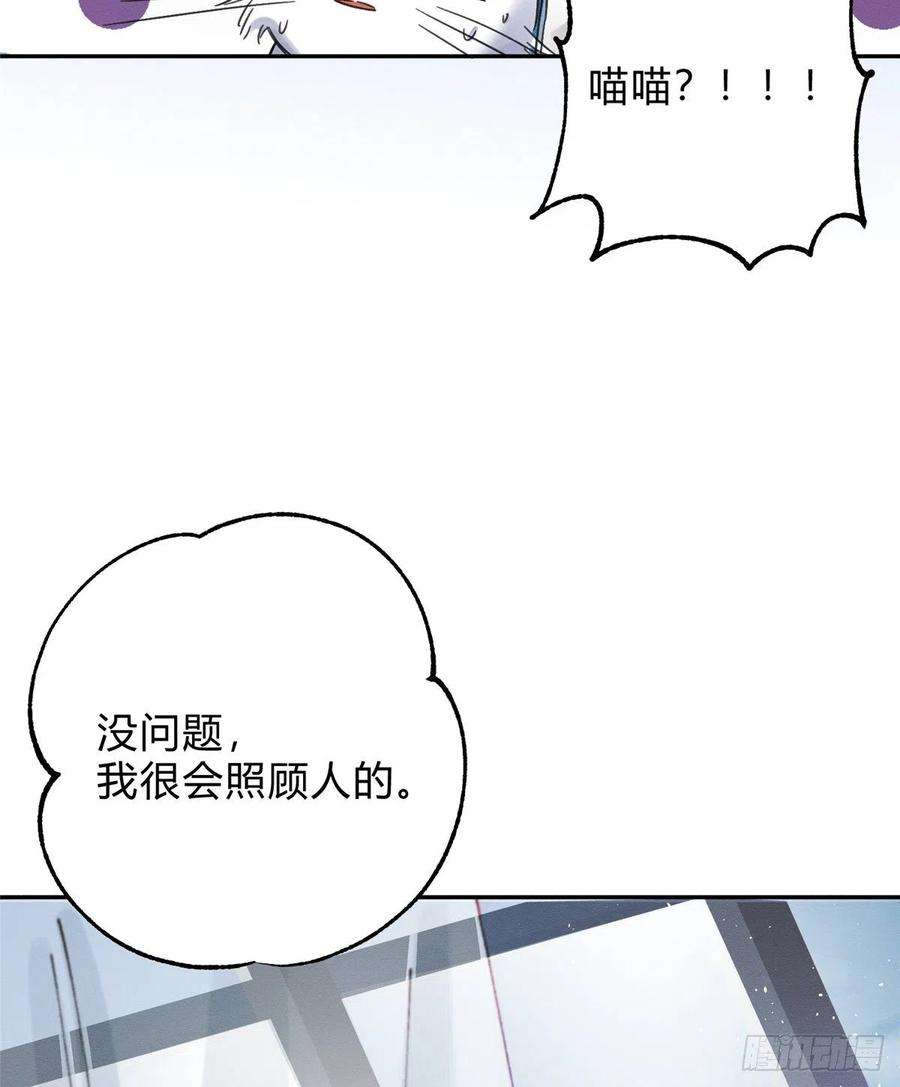 今天也要努力当只猫2话 我来照顾他吧！