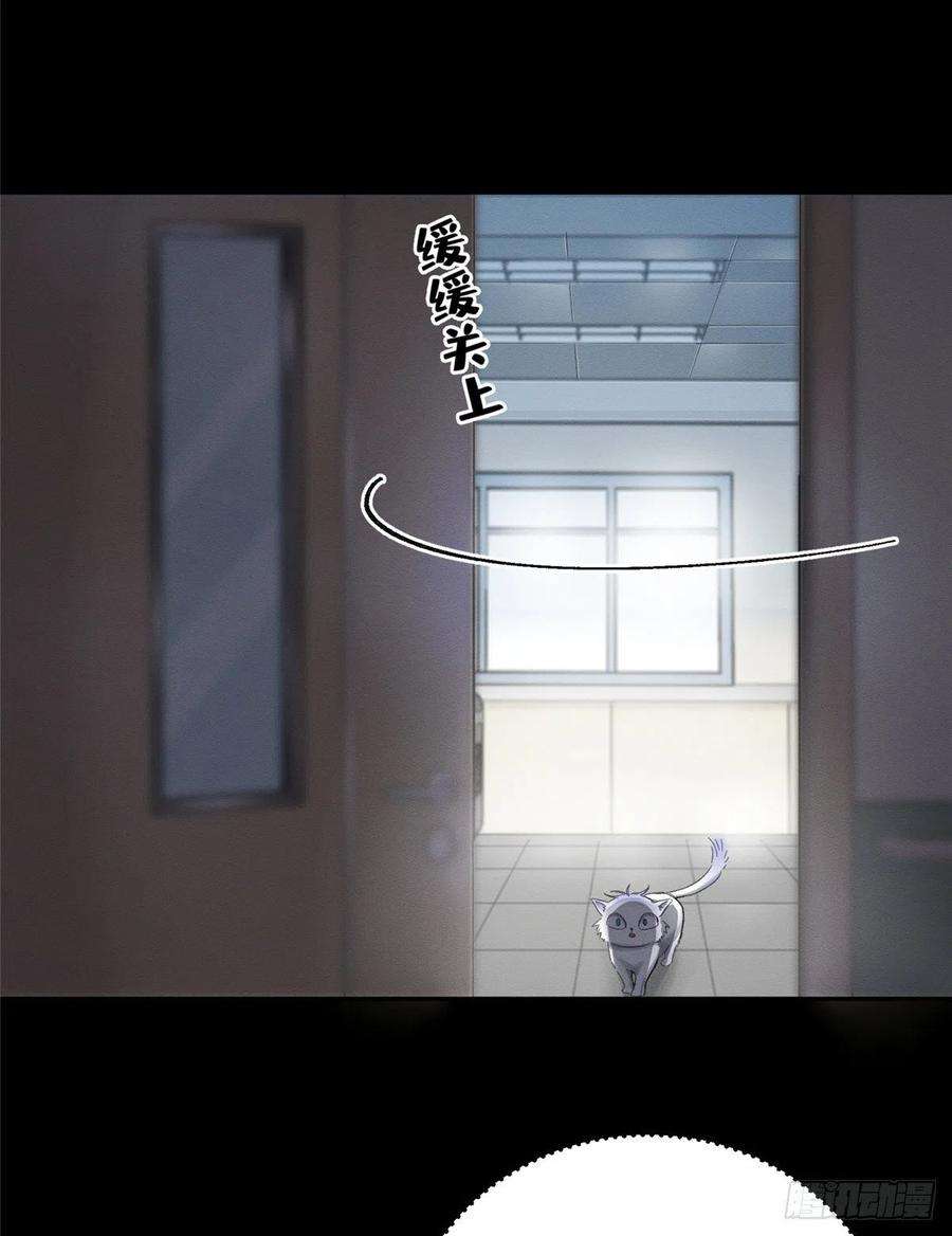 今天也要努力当只猫2话 我来照顾他吧！