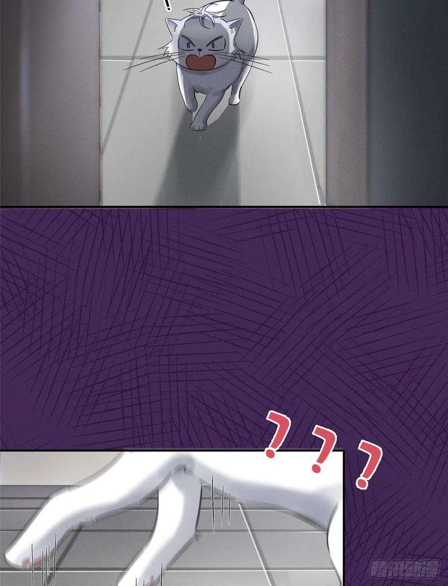 今天也要努力当只猫2话 我来照顾他吧！