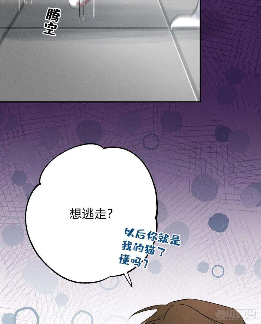 今天也要努力当只猫2话 我来照顾他吧！