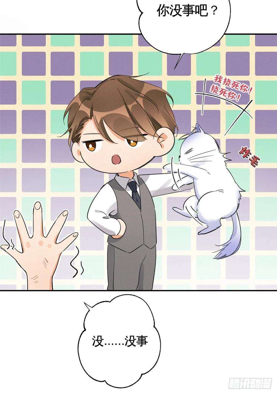 今天也要努力当只猫3话 处理掉吧！