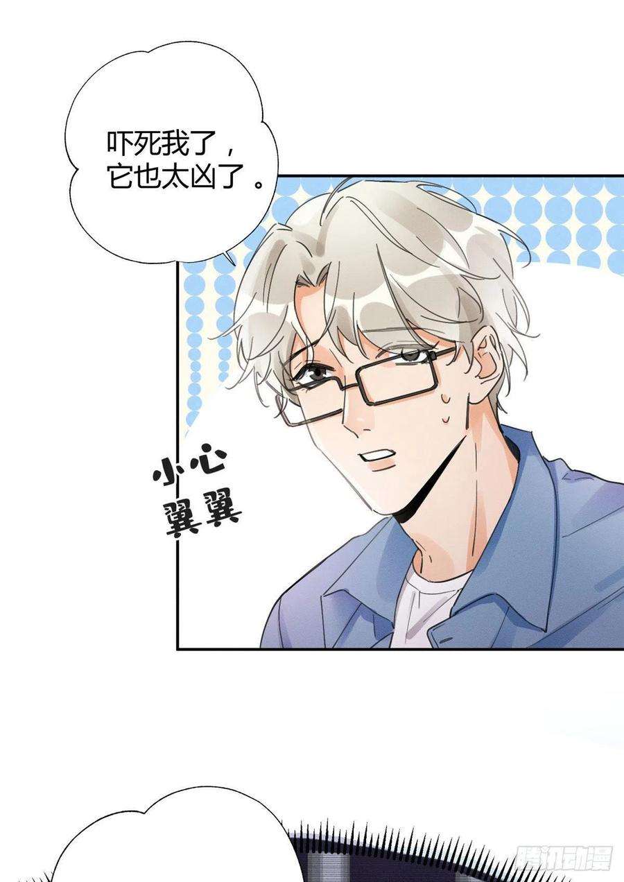 今天也要努力当只猫3话 处理掉吧！