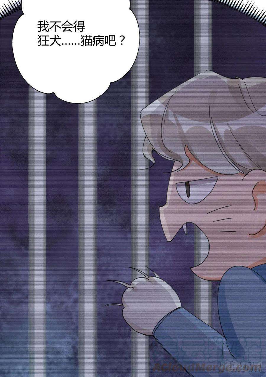 今天也要努力当只猫3话 处理掉吧！