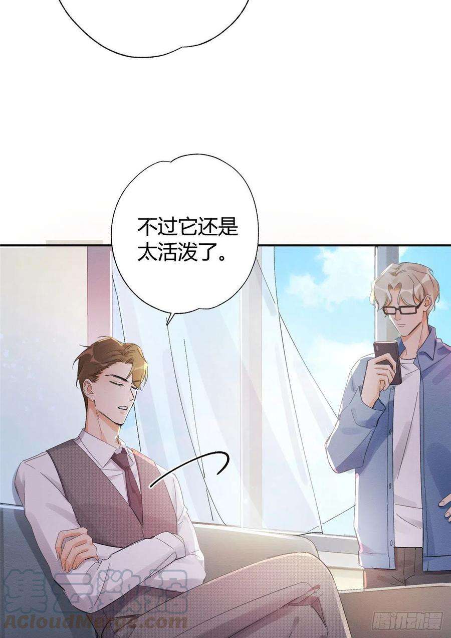 今天也要努力当只猫3话 处理掉吧！