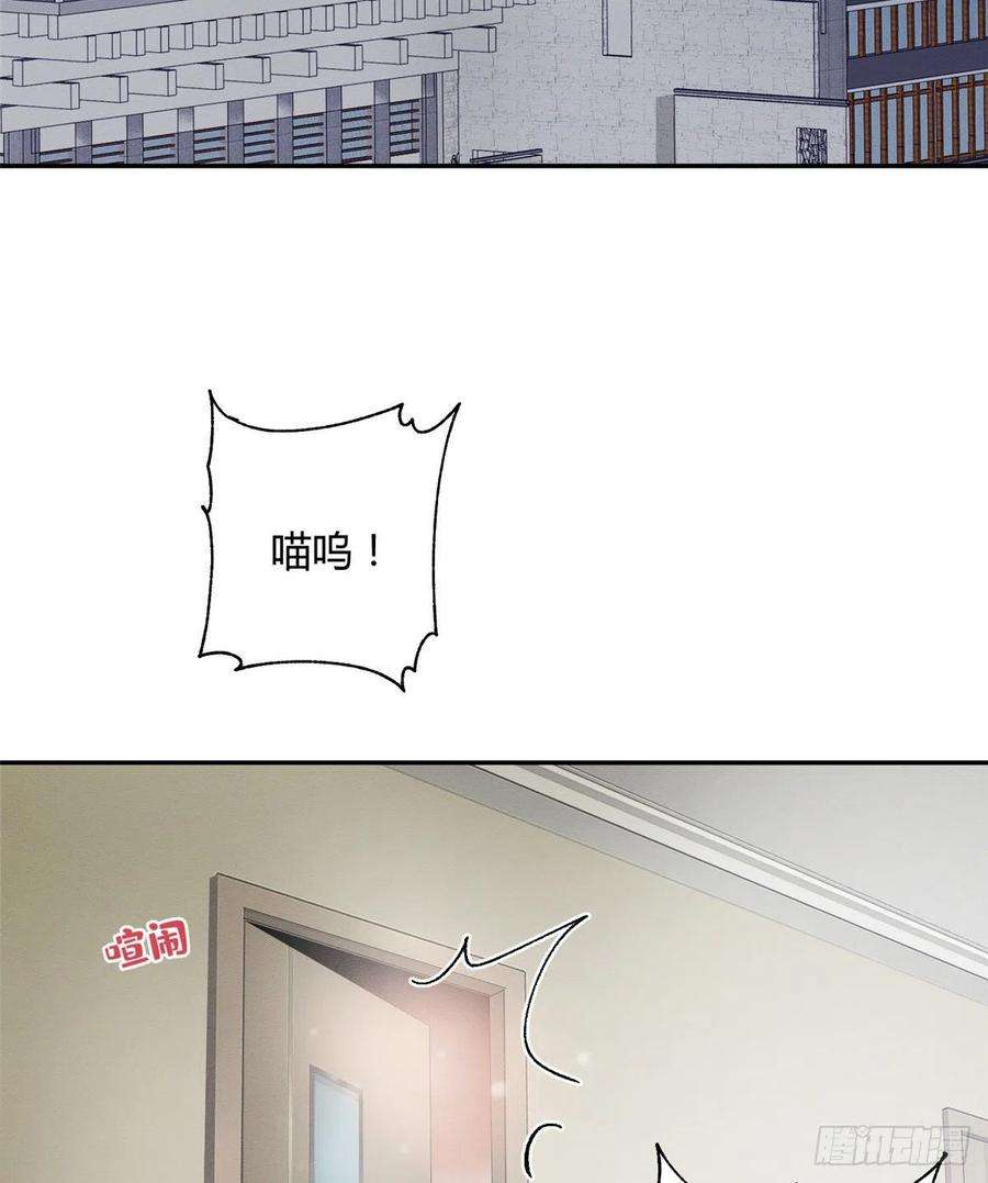 今天也要努力当只猫3话 处理掉吧！