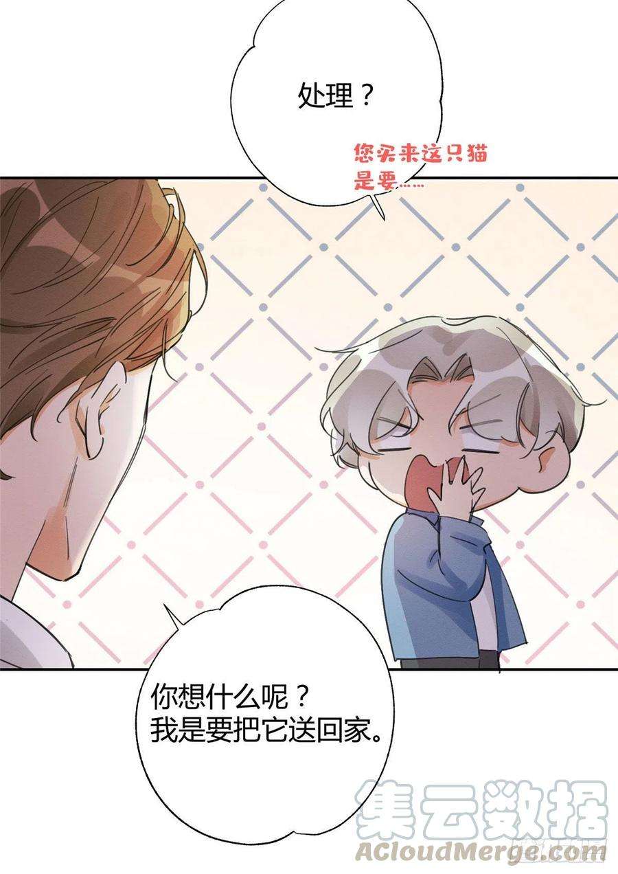 今天也要努力当只猫3话 处理掉吧！