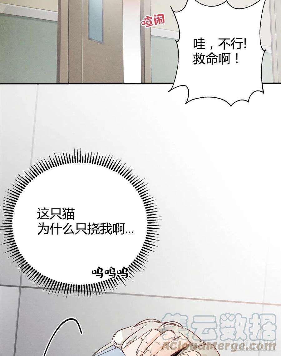 今天也要努力当只猫3话 处理掉吧！