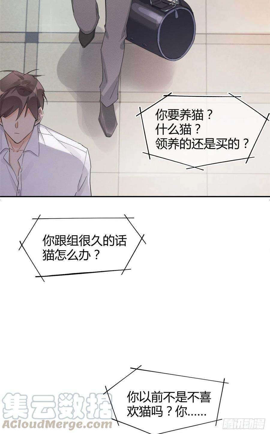 今天也要努力当只猫3话 处理掉吧！