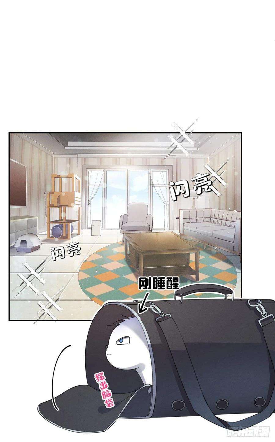 今天也要努力当只猫3话 处理掉吧！