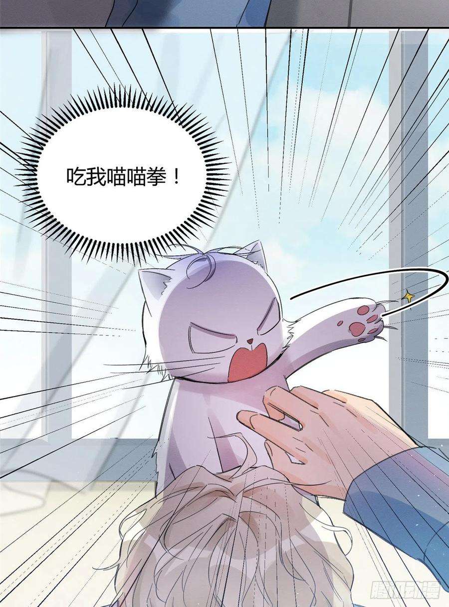 今天也要努力当只猫3话 处理掉吧！