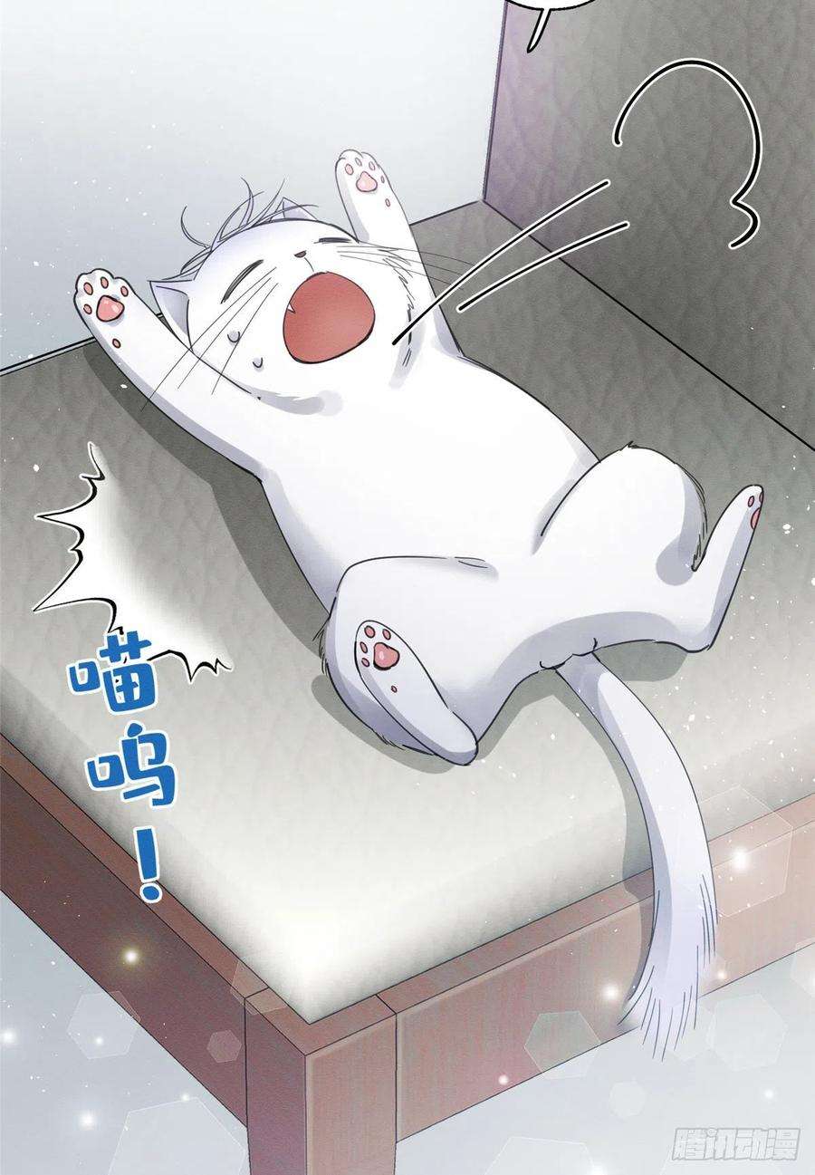 今天也要努力当只猫3话 处理掉吧！