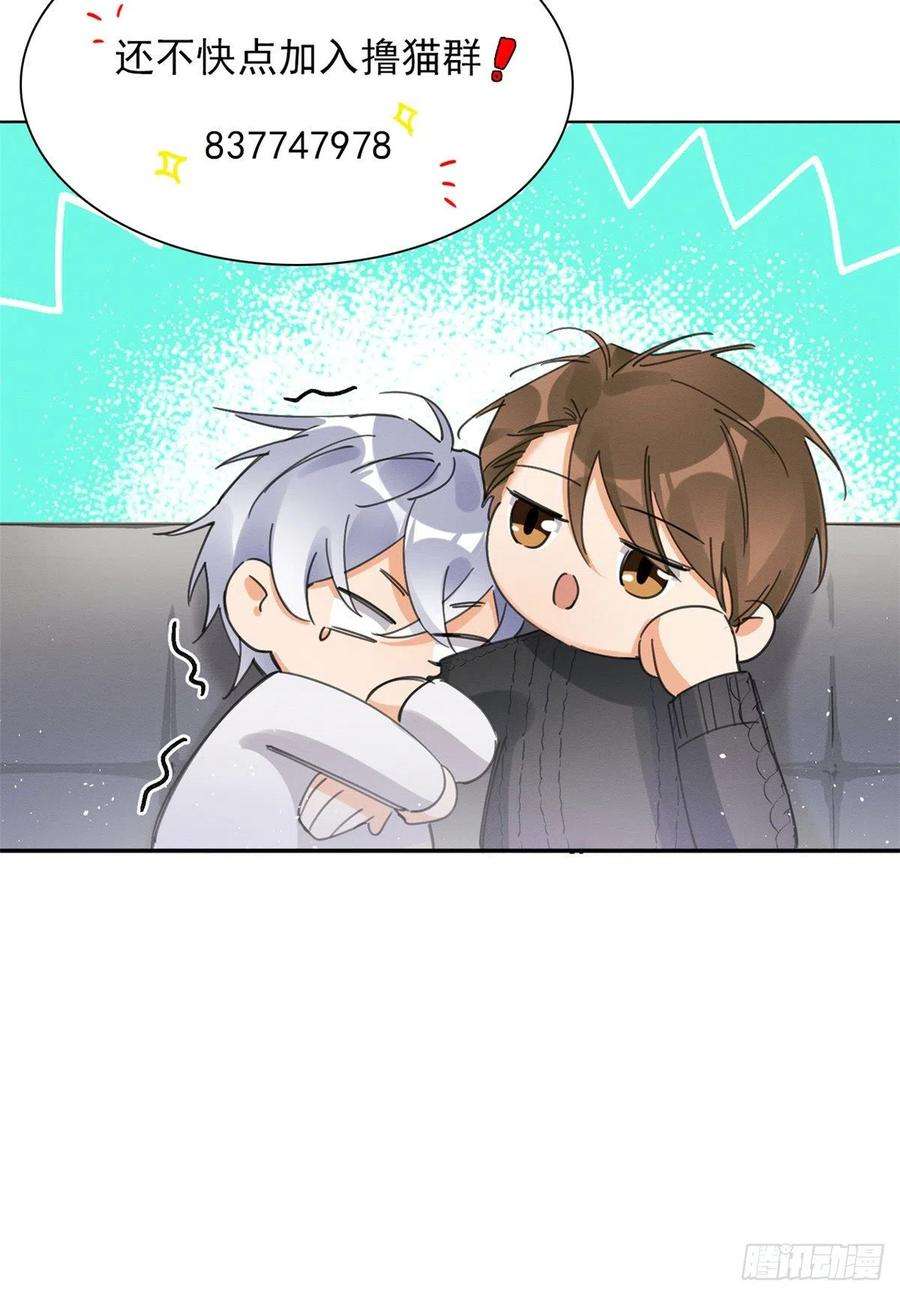 今天也要努力当只猫3话 处理掉吧！