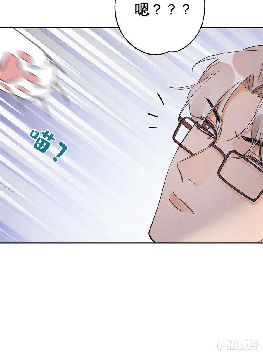 今天也要努力当只猫3话 处理掉吧！