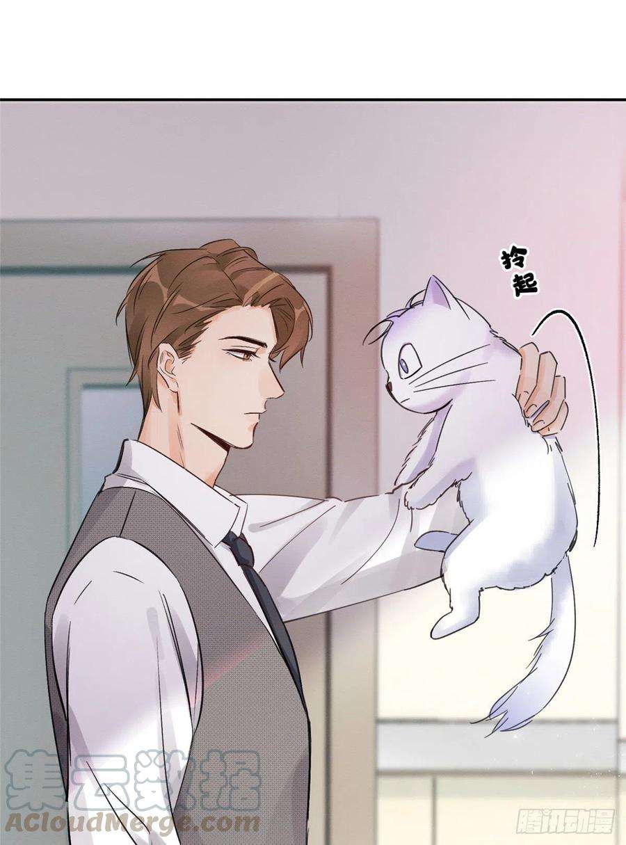 今天也要努力当只猫3话 处理掉吧！