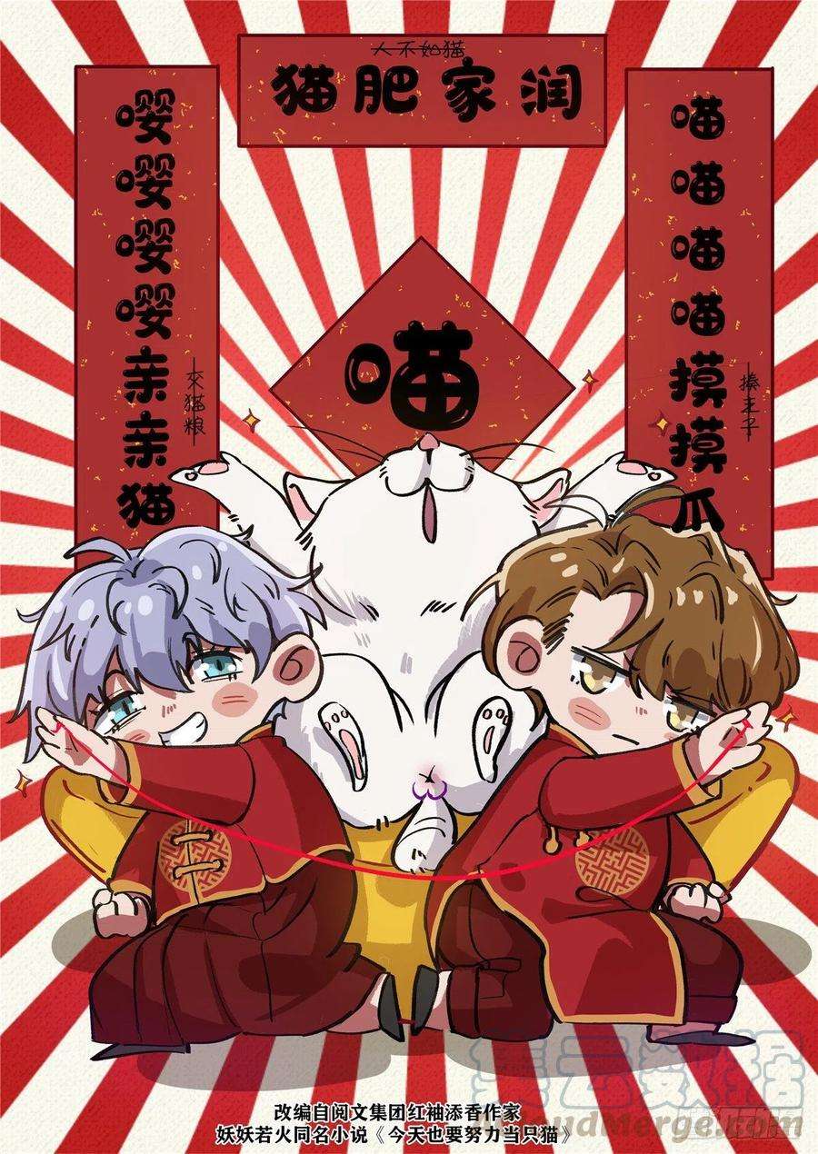 今天也要努力当只猫4话 放开吧！