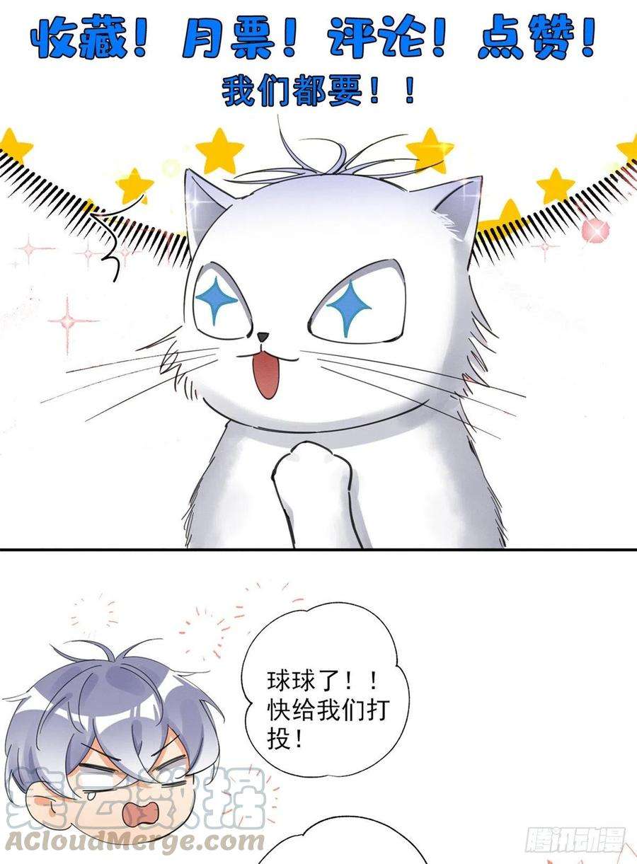 今天也要努力当只猫4话 放开吧！