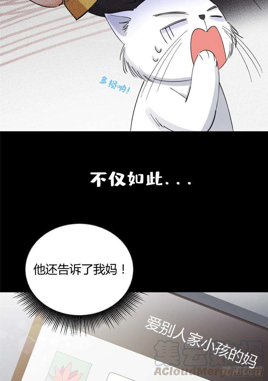 今天也要努力当只猫5话 是公的！