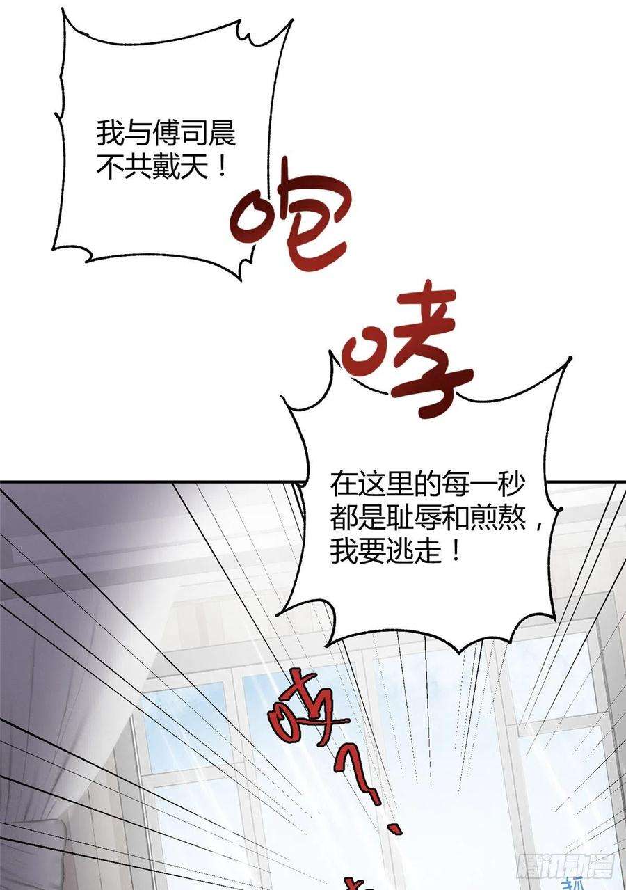 今天也要努力当只猫5话 是公的！