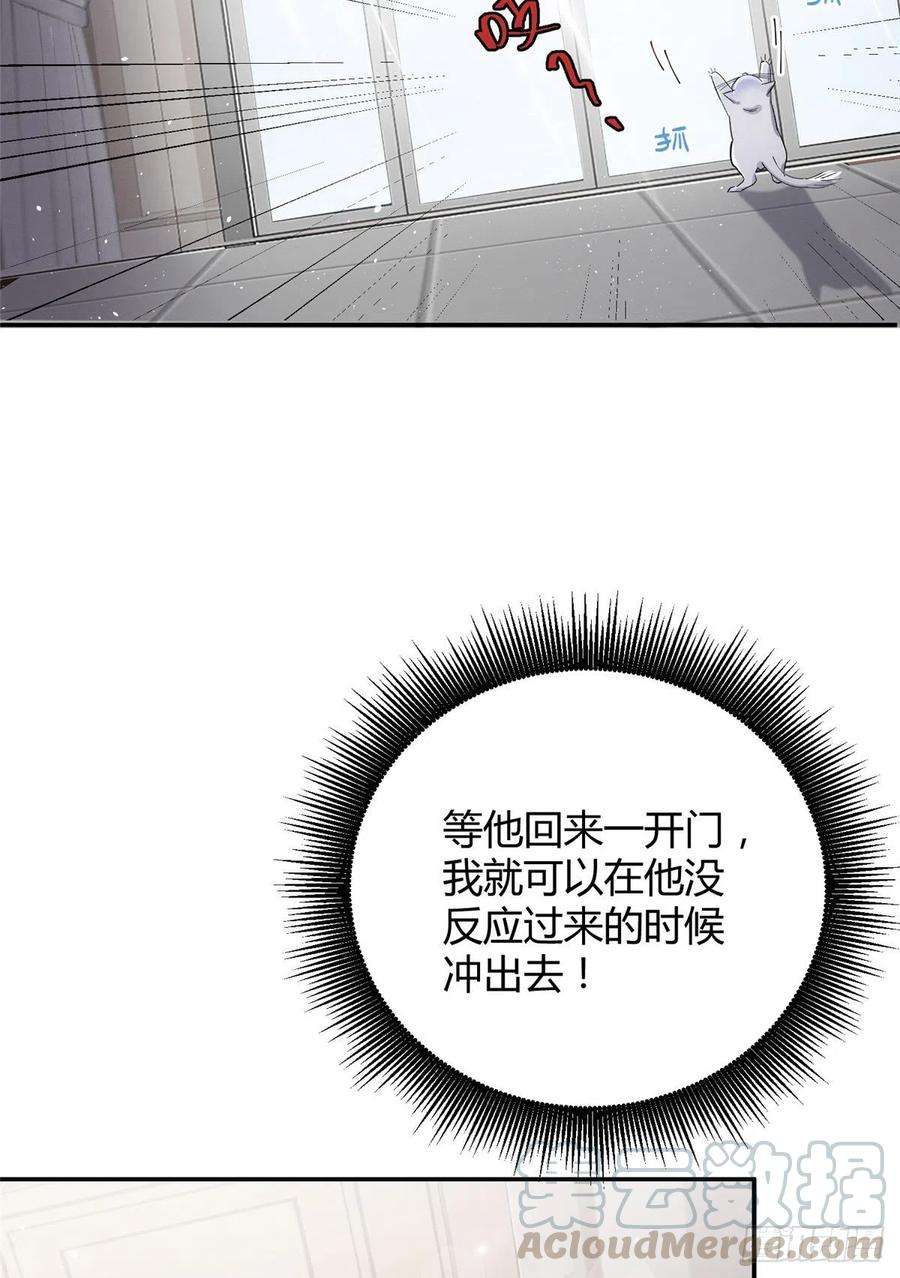 今天也要努力当只猫5话 是公的！