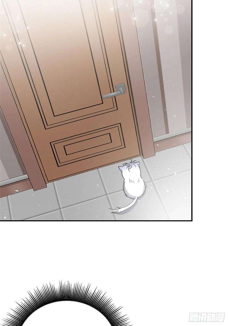 今天也要努力当只猫5话 是公的！