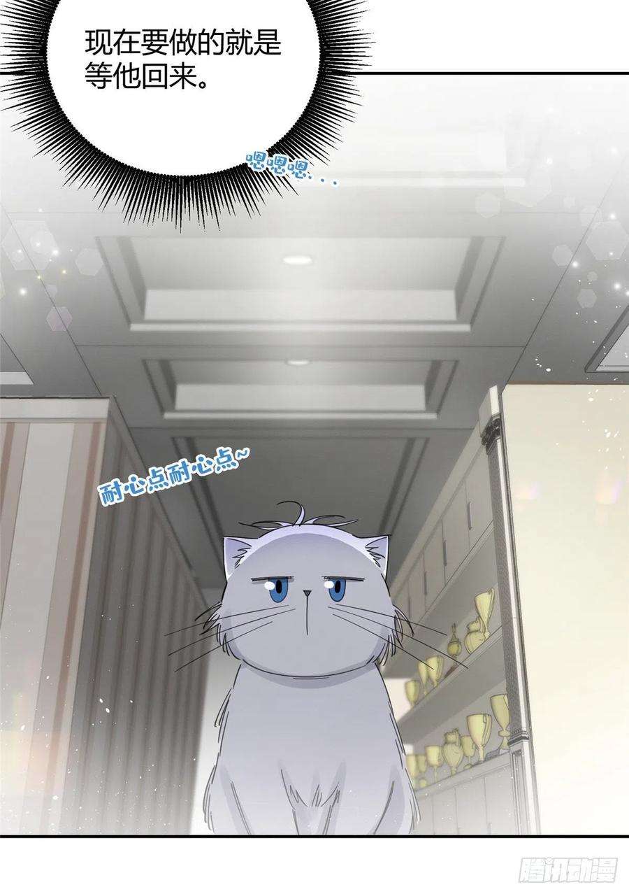 今天也要努力当只猫5话 是公的！